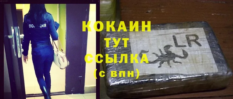 KRAKEN вход  Гатчина  Cocaine Эквадор 